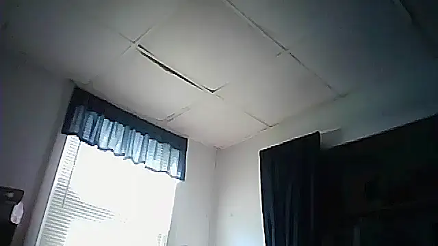 starlight1983 stripchat live cam model
