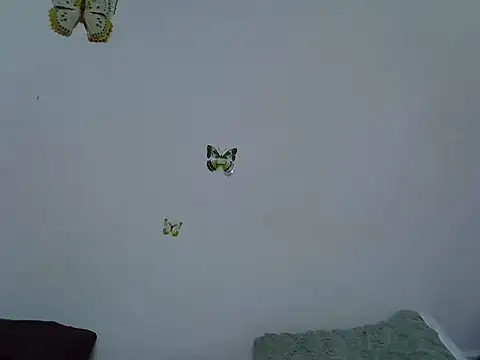 berrynova stripchat live cam model