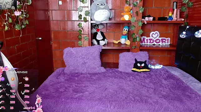 MidoriQuiinn stripchat live cam model
