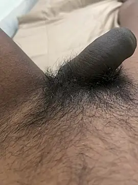 like_a_nud stripchat live cam model