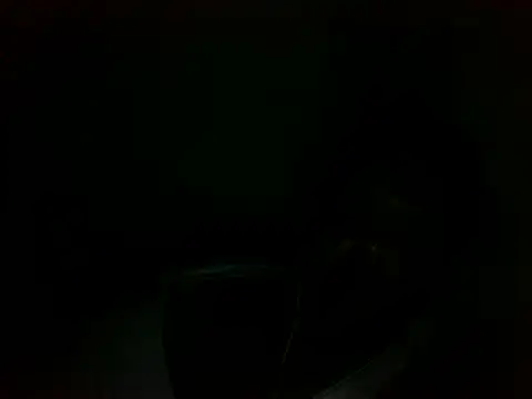 elpoop7305 stripchat live cam model