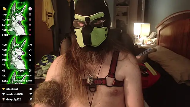 kinkywolf429 stripchat live cam model