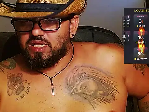 mr_wolf46 stripchat live cam model