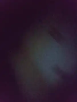 SteveBig91 stripchat live cam model