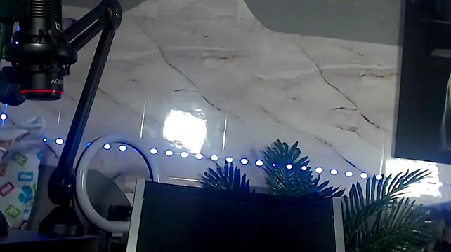 BunnyBliss2 stripchat live cam model
