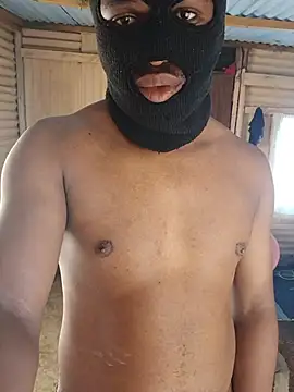 StintedRegiment stripchat live cam model