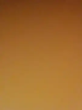 like2008 stripchat live cam model