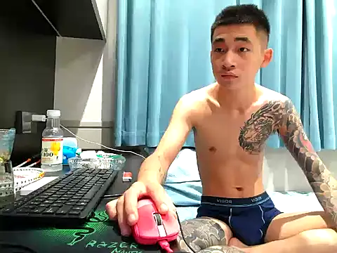 gaogaowei stripchat live cam model