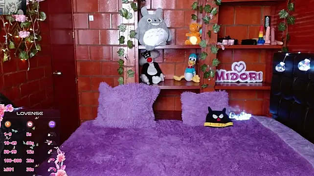 MidoriQuiinn stripchat live cam model