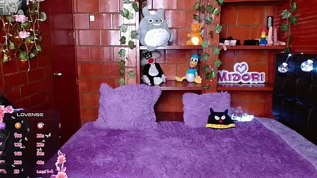 MidoriQuiinn stripchat live cam model