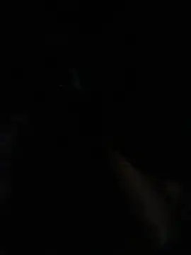 Petrossa stripchat live cam model