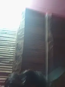 abhishek70 stripchat live cam model