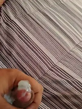 ansuni2026 stripchat live cam model