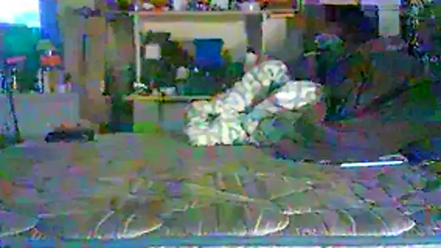 CR3M3_FIR3 stripchat live cam model