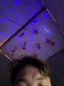 linhfag stripchat live cam model