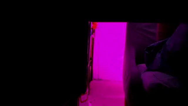 Shar_Foxx stripchat live cam model