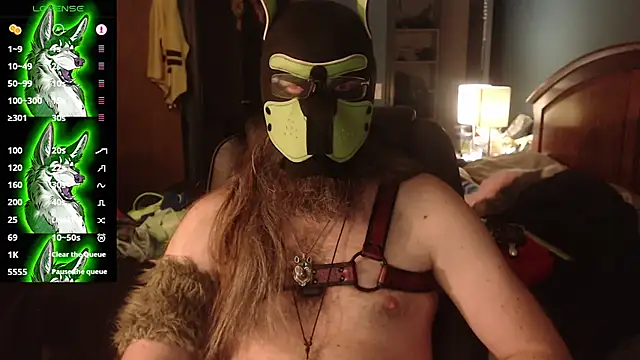 kinkywolf429 stripchat live cam model