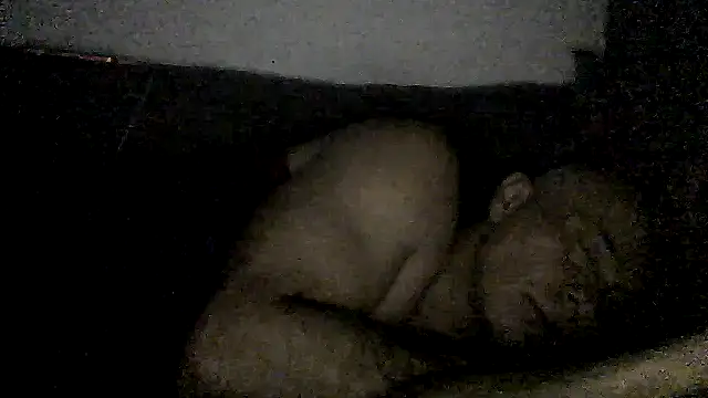 dogfrota stripchat live cam model