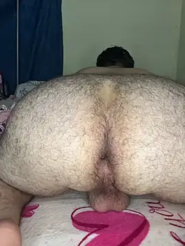 David_Oso_ stripchat live cam model