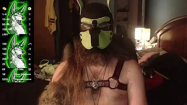 kinkywolf429 stripchat live cam model