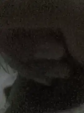 Badboy201219 stripchat live cam model