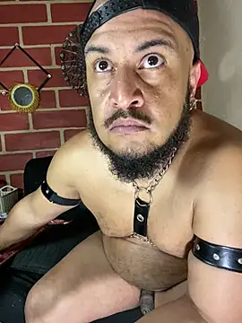 the_master_foal_ stripchat live cam model