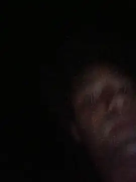 Lildick1100 stripchat live cam model