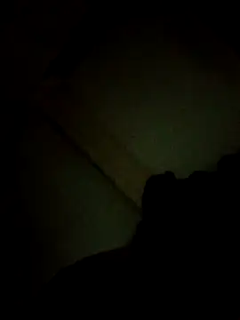 sissyneha stripchat live cam model