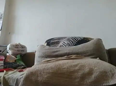 davidgra19788 stripchat live cam model