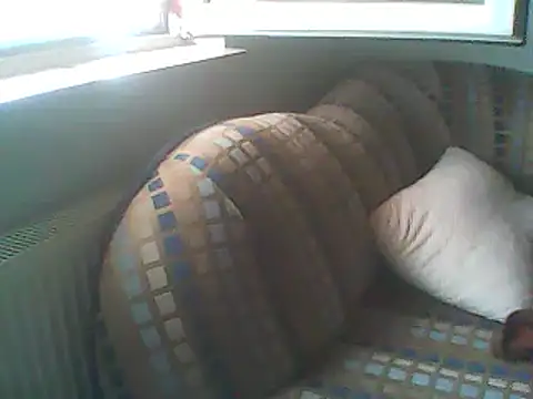 sumyboy stripchat live cam model