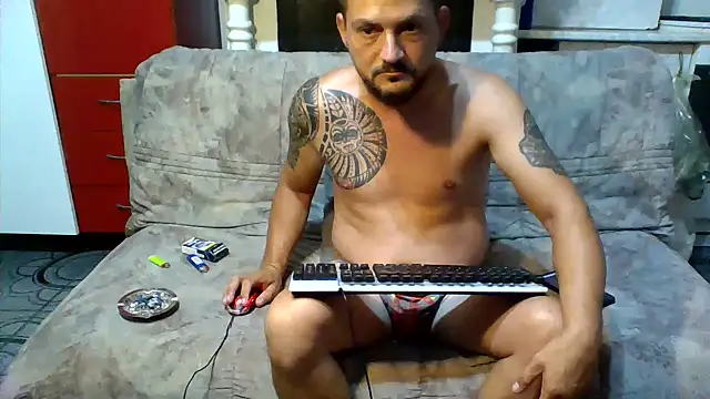 VelvetWolff stripchat live cam model