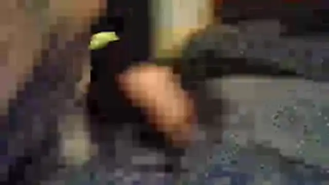 brawlerdaloak stripchat live cam model