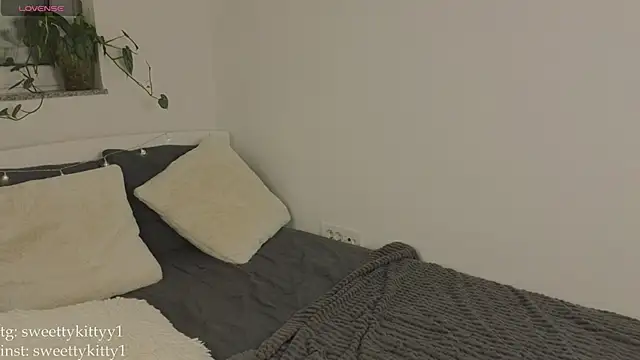 sweettykitty stripchat live cam model