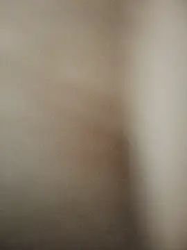Pari8822 stripchat live cam model