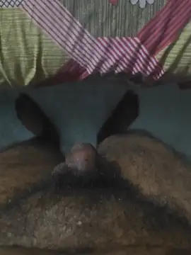 LINGLMBABIGPSBKADAMADKING stripchat live cam model