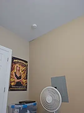 AmethystFoxx stripchat live cam model