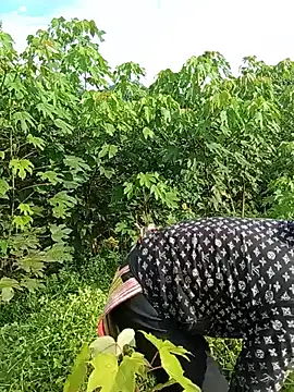 Meimei_Lucky stripchat live cam model