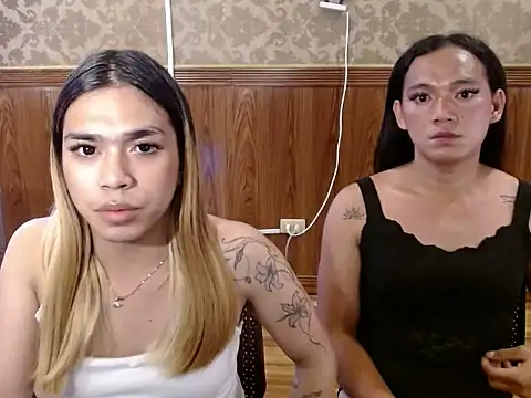 alcyone_hilton stripchat live cam model