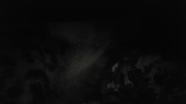 The_Real_aDDix269 stripchat live cam model