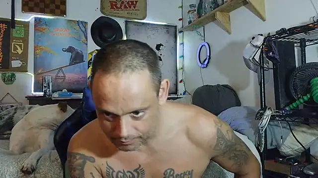 Buffshagswell stripchat live cam model