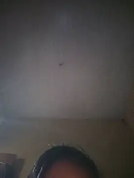 dialahassen stripchat live cam model