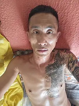 wangxin369369 stripchat live cam model