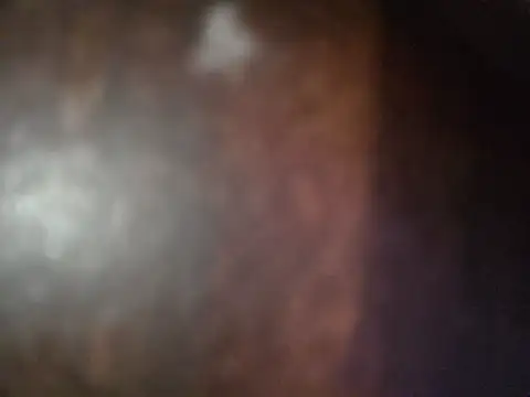 Xoc8_ stripchat live cam model