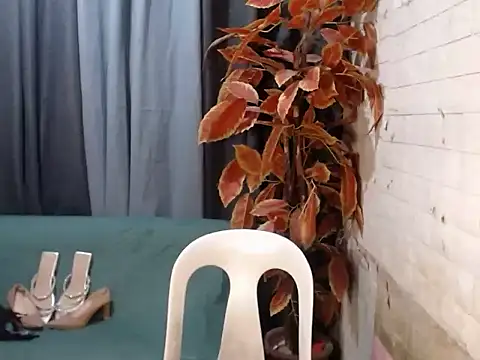 transfantasy_mimi stripchat live cam model