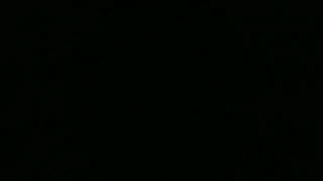 SamuelTal stripchat live cam model