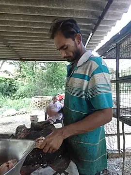 raju83737 stripchat live cam model