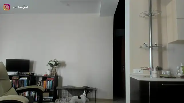 _in_yan stripchat live cam model
