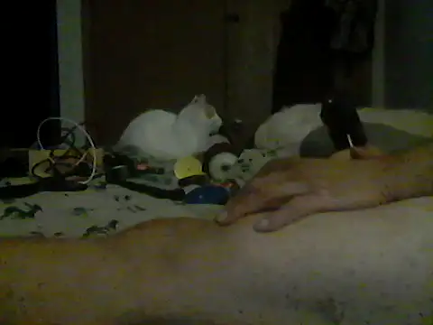 Silencio26 stripchat live cam model