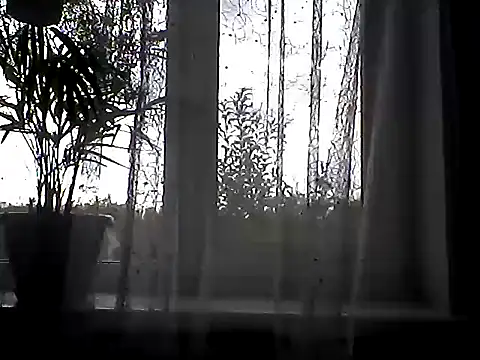 Littlecatme stripchat live cam model