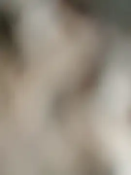 MAJORLAZER77 stripchat live cam model